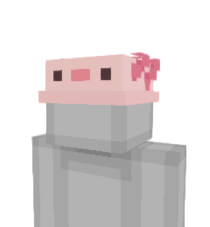 Axolotl Hat Minecraft skin overlay